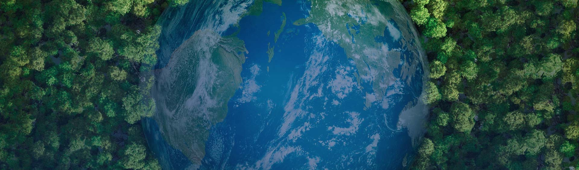 中圣科技(江蘇)集團(tuán)股份有限公司