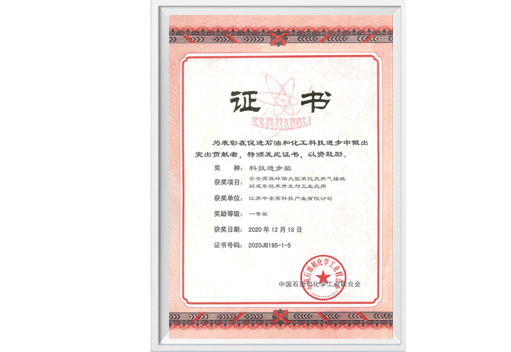 中石油化工聯(lián)合會科技進(jìn)步一等獎