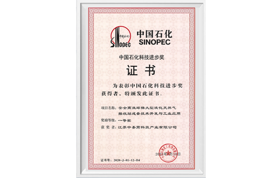 中石化科技進(jìn)步一等獎